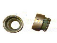 Push Rod Seal VG2600040114