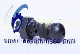 Valve Adjusting Bolt With Nut VG14050010 & VG2130050065