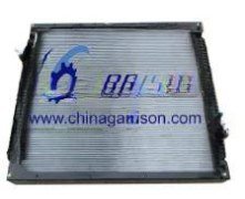 Radiator WG9719530231