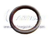 Rear oil seal 734300093