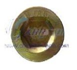 Magnetism plug 1586 330015