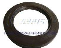 Oil seal AZ9761322430